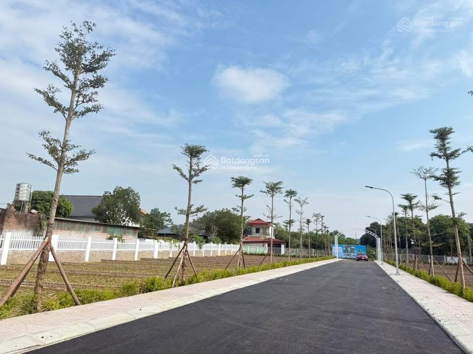Bán đất tại minh phú sóc sơn chính chủ  0981 288 ***