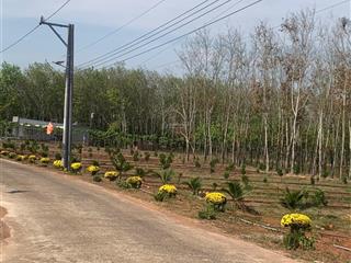 Bán đất tại dh508, phước sang, phú giáo, 600 triệu, 200 m2, đẹp, nhiều tiện ích