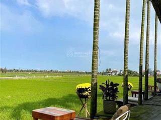 Bán đất tặng nhà cấp 4 còn mới ken, tại đường lê thánh tông, có view lúa đẹp nhất nhì phố cổ