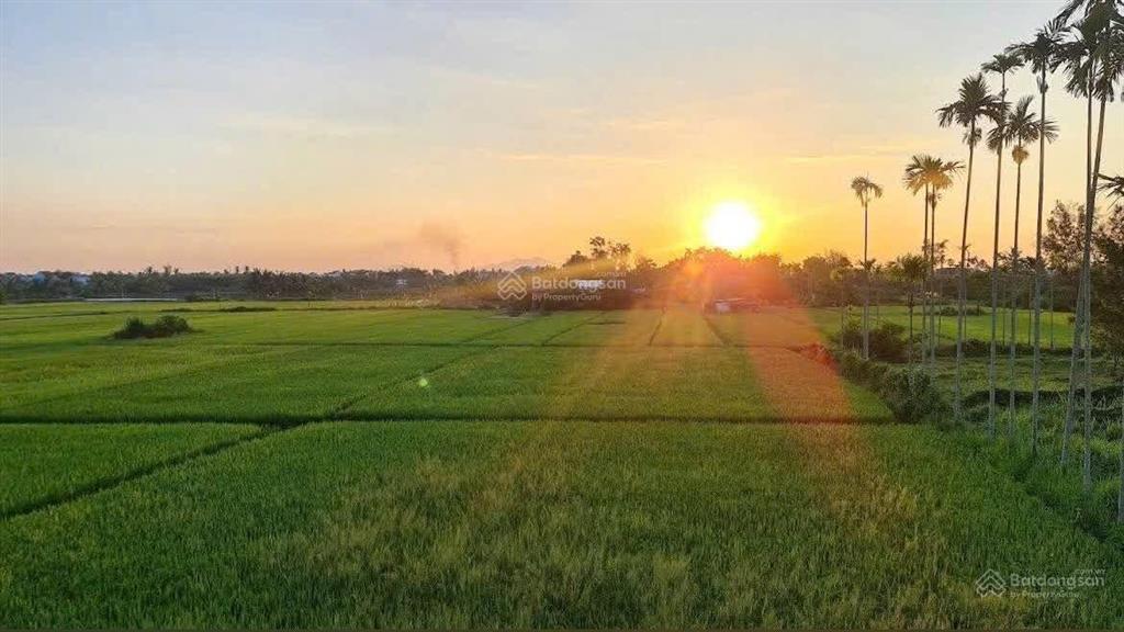 Bán đất tặng nhà cấp 4 còn mới ken, tại đường lê thánh tông, có view lúa đẹp nhất nhì phố cổ