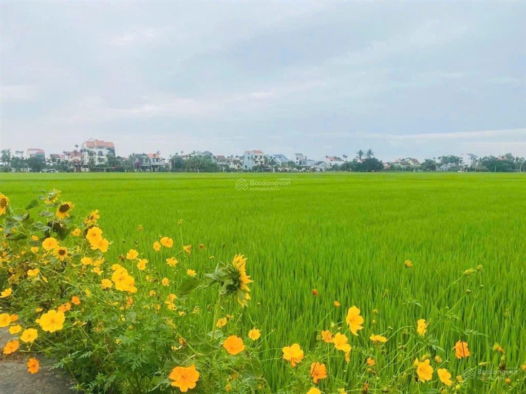 Bán đất tặng nhà cấp 4 còn mới ken, tại đường lê thánh tông, có view lúa đẹp nhất nhì phố cổ