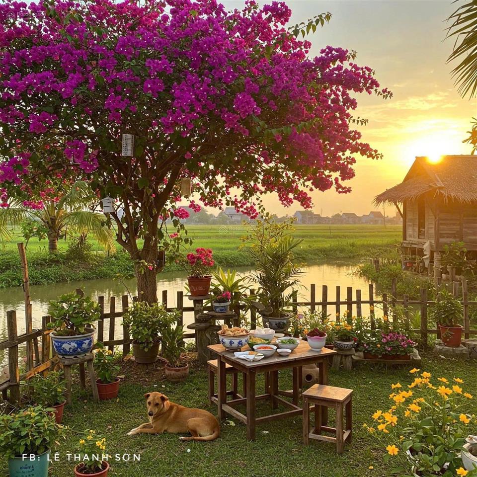 Đất nền view sông thoáng mát, thích hợp xây villa nghỉ dưỡng, đất nở hậu phong thủy đẹp