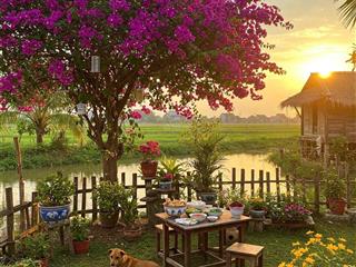 Đất nền view sông thoáng mát, thích hợp xây villa nghỉ dưỡng, đất nở hậu phong thủy đẹp