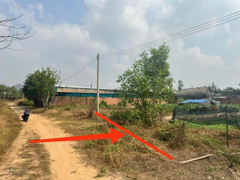 Đất mặt tiền đường hòa lợi 003, diện tích 222m, tc 60m  giá 1 tỷ 450 tr