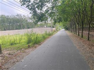 Đất chánh phú hòa gần ubnd, dt 3.257m2, đường nhựa 7m