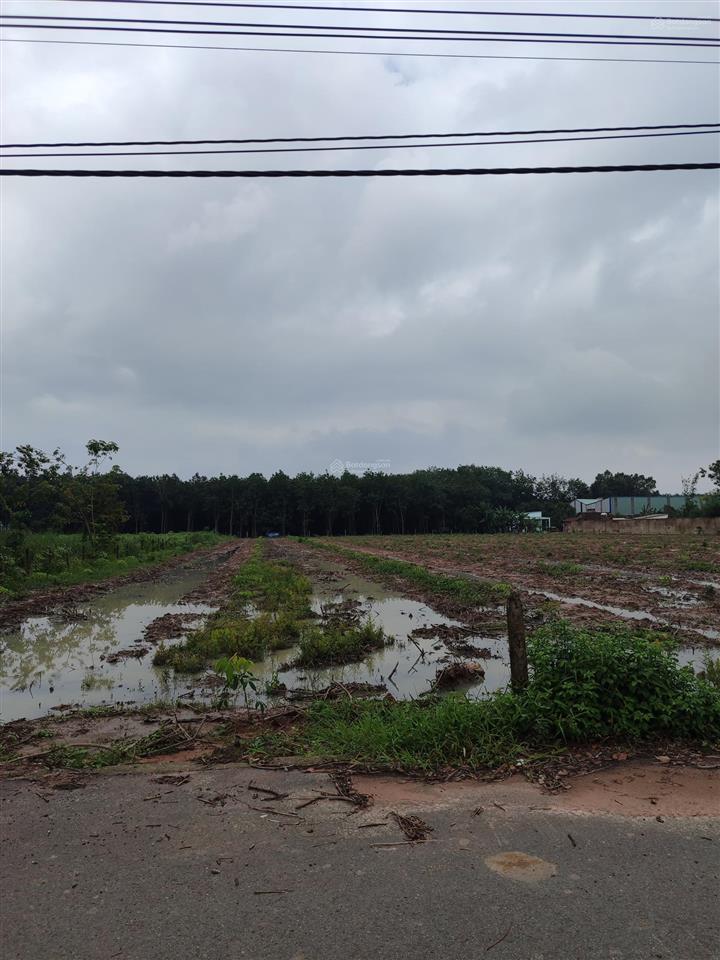 Đất chánh phú hòa gần ubnd, dt 7.863m2, đường nhựa 7m thông dài
