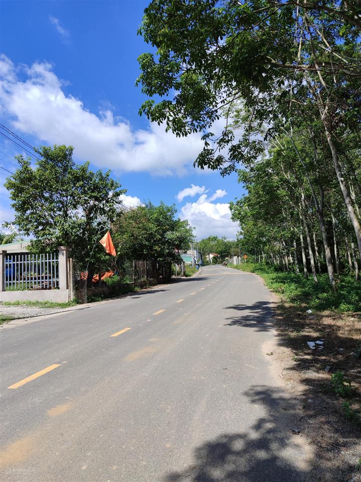 Bán đất phú chánh, tân uyên, dt 19*45m, thổ cư 240m2  giá 7 tỷ