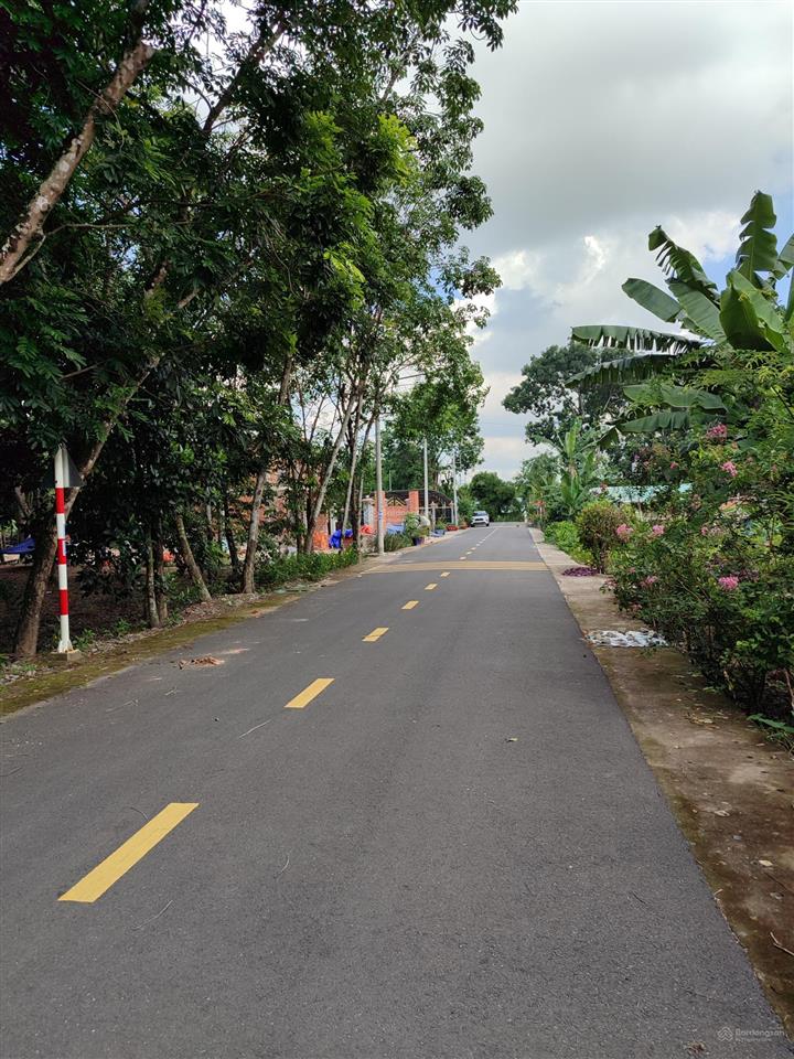 Bán đất chánh phú hòa gần chợ chánh lưu, dt 5*48m, tc60m  giá 1 tỷ 350 triệu