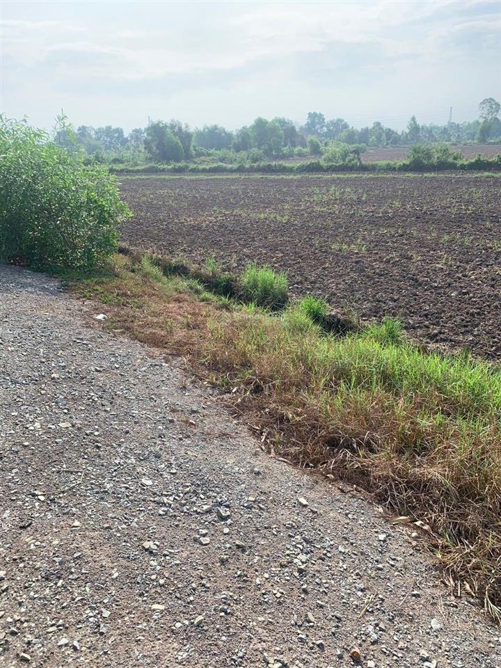 Chính chủ bán đất khu trung tâm xã tân phú (x.hiệp hòa mới), đức hoà, long an gần da vingroup 197ha