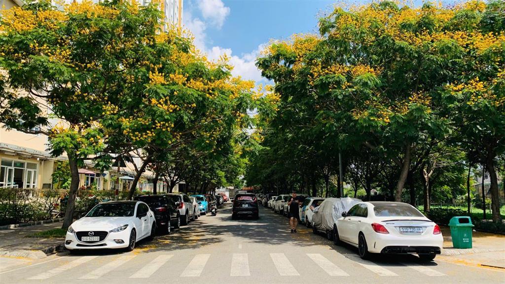 Bán căn hộ chung cư thủ đức giá tốt, chỉ cần trả trước 500 triệu đồng. ngân hàng hỗ trợ 70%
