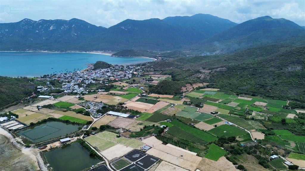 Hơn 2.6ha 100% view biển và khu dân cư siêu đẹp mặt tiền đường nhựa phường đông ninh hòa khánh hòa