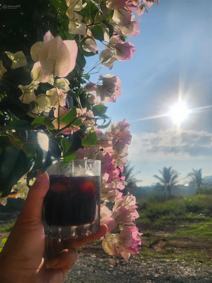 Nhà vườn siêu đẹp cách nha trang chỉ 27km view sông mát mẻ
