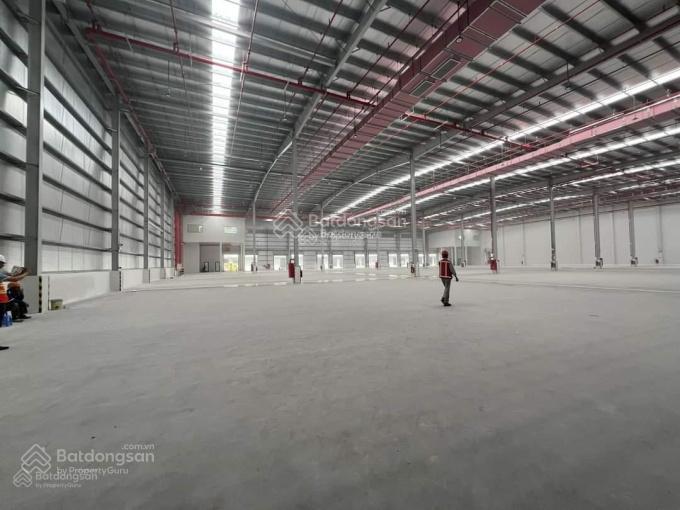 Chính chủ cho thuê kho nhà xưởng 2000m² quận sơn trà, đà nẵng