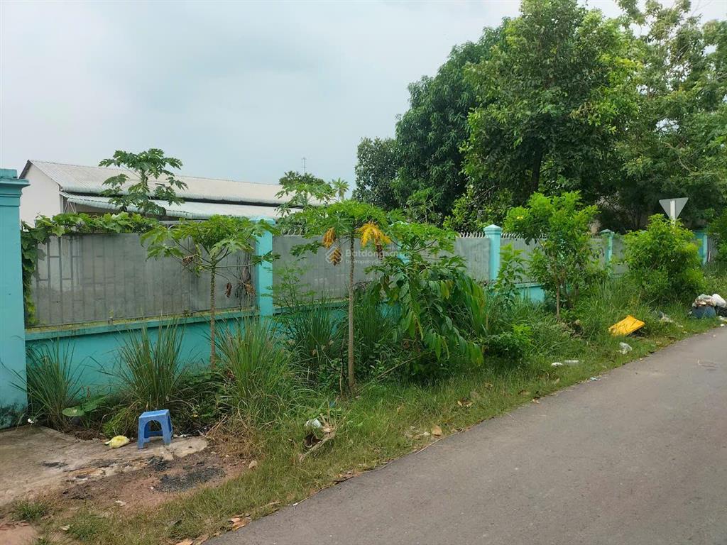Bán nhà vườn tại số 1 nguyễn thị bi, 9 triệu / m2, 1330.2 m2, giá tốt (hh 1% cho ae môi giới)