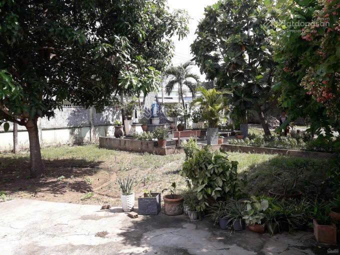 Bán nhà vườn tại số 1 nguyễn thị bi, 9 triệu / m2, 1330.2 m2, giá tốt (hh 1% cho ae môi giới)