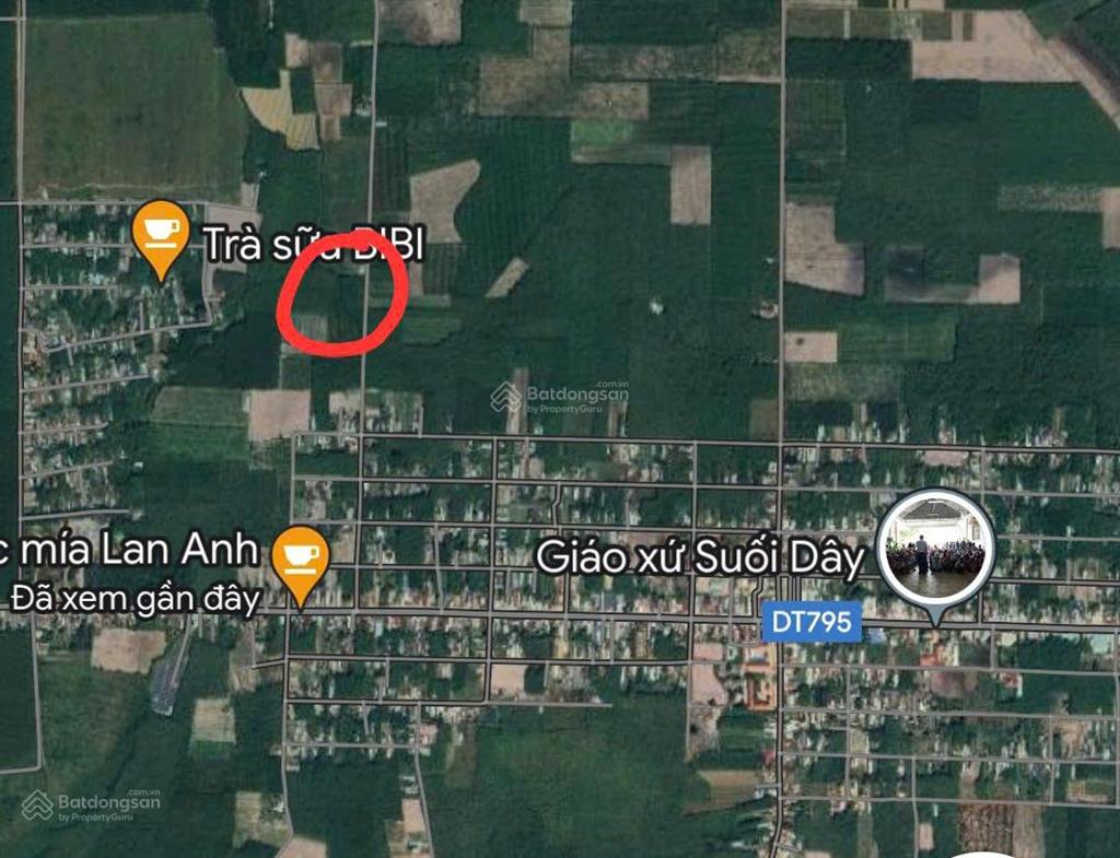Đầu tư  hơn 1.000m² đất giáp suối | tân châu  tây ninh