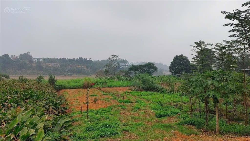 Tách bán 480m2, 150m2 thổ cư, mt 9,5m view thoáng tại xã khánh thượng cũ nay xã ba vì  tp. hà nội