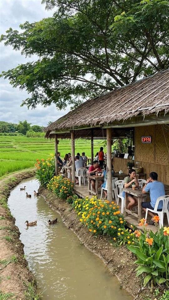 Ngộp bán rẻ lô đất chính chủ 2.940m2 thuộc tân nhựt, bình chánh giá 1,2tr/m2