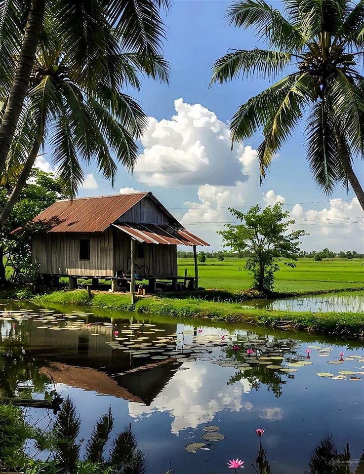 Ngộp bán rẻ lô đất chính chủ 2.940m2 thuộc tân nhựt, bình chánh giá 1,2tr/m2