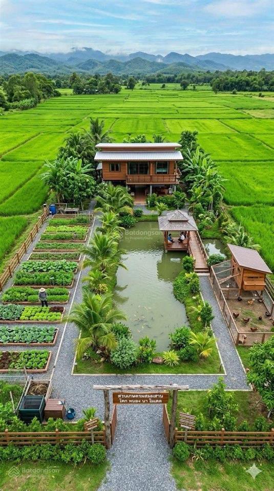 Ngộp bán rẻ lô đất chính chủ 2.940m2 thuộc tân nhựt, bình chánh giá 1,2tr/m2