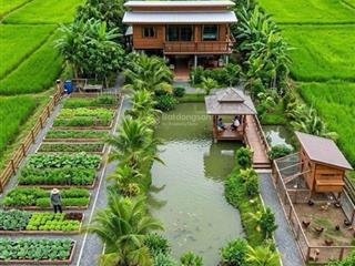 Ngộp bán rẻ lô đất chính chủ 2.940m2 thuộc tân nhựt, bình chánh giá 1,2tr/m2