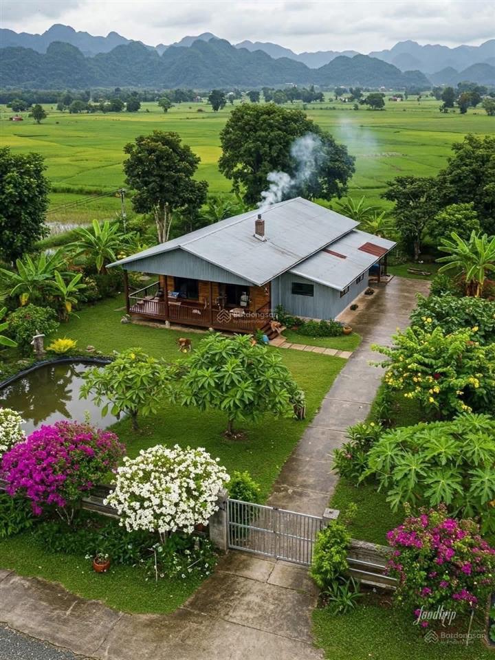 Ngộp bán rẻ lô đất chính chủ 2.940m2 thuộc tân nhựt, bình chánh giá 1,2tr/m2