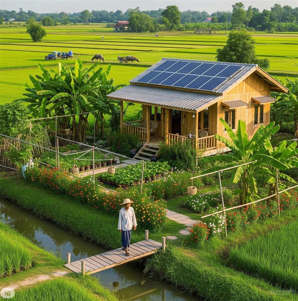 Ngộp bán rẻ lô đất chính chủ 2.940m2 thuộc tân nhựt, bình chánh giá 1,2tr/m2