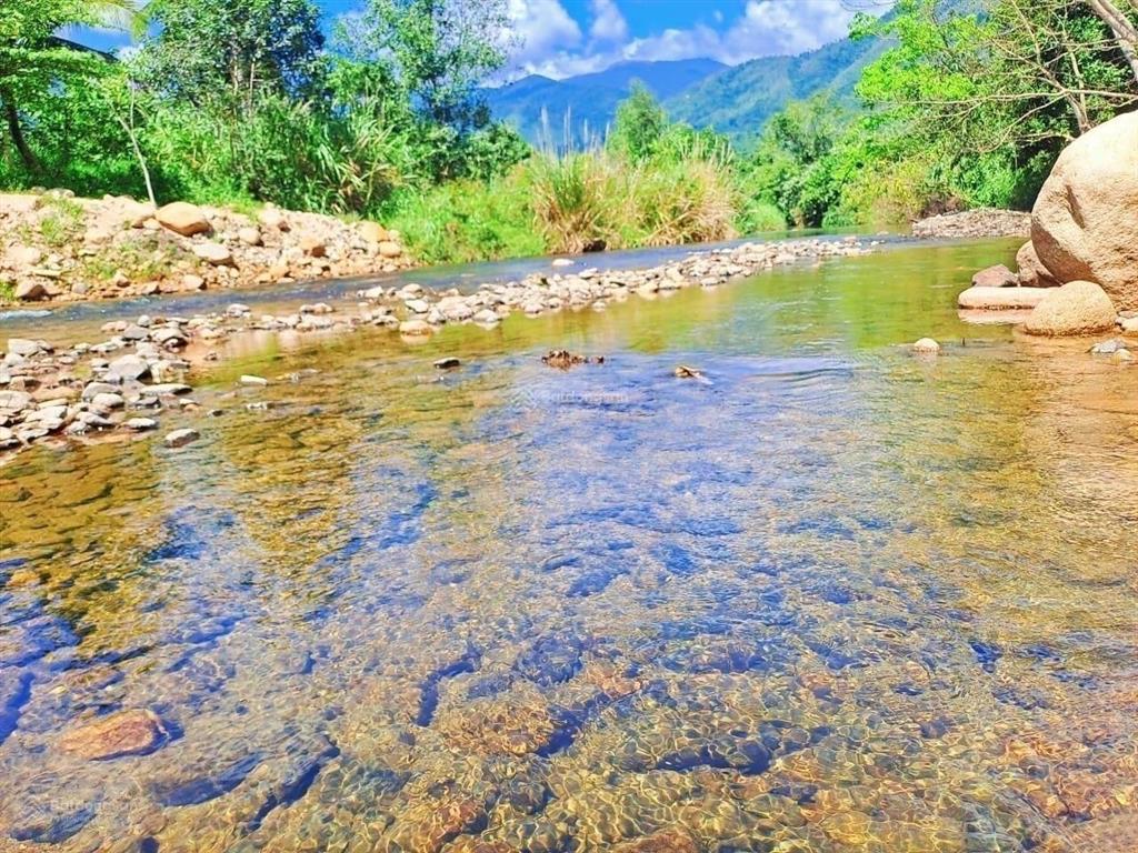 Bán nhanh 6hecta khu du lịch suối mơ ninh thượng