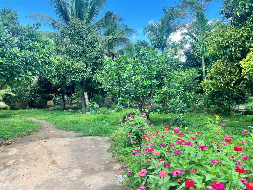 Vườn trái cây nghỉ dưỡng tại dầu giây