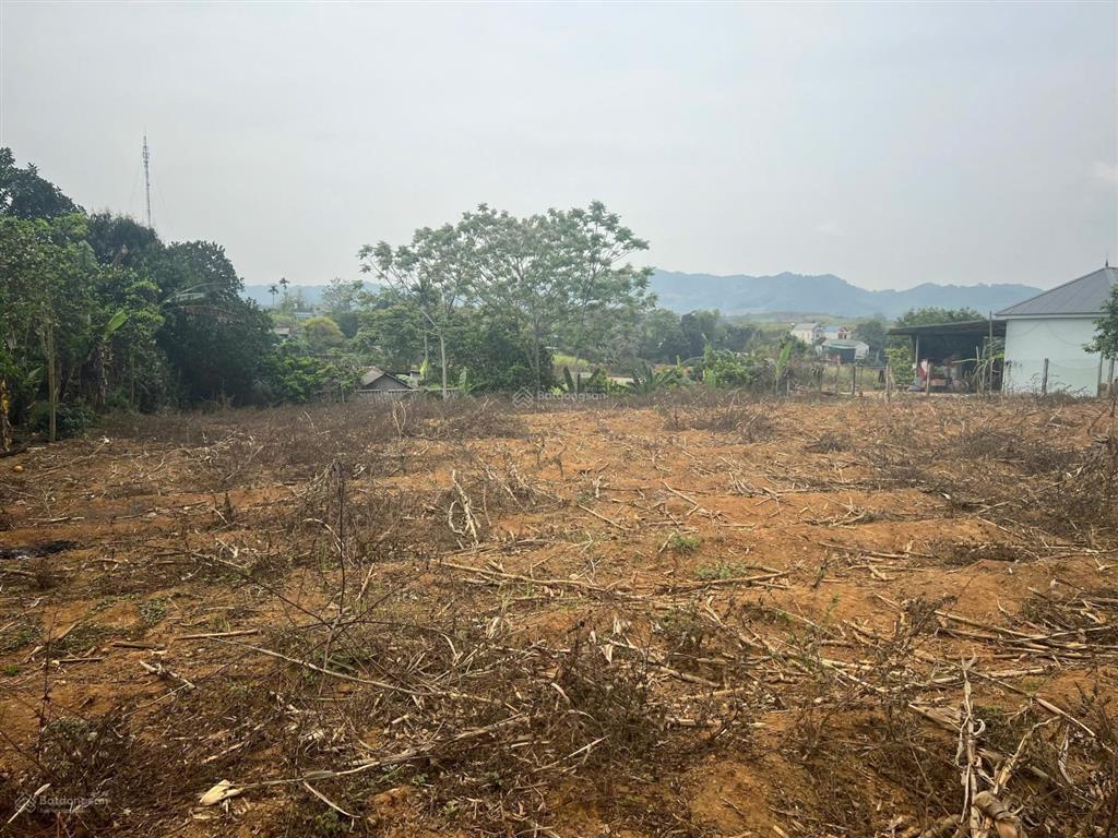 Bán đất tại dũng phong, cao phong, hòa bình, 3,5 tỷ, 2273 m2 siêu đẹp có 1640m2 là thổ cư