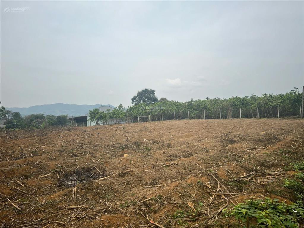 Bán đất tại dũng phong, cao phong, hòa bình, 3,5 tỷ, 2273 m2 siêu đẹp có 1640m2 là thổ cư