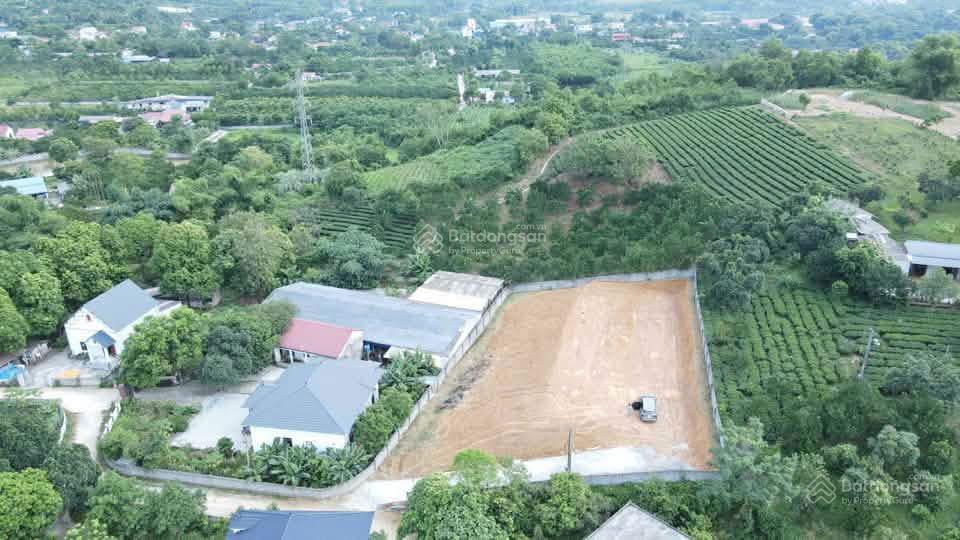 Cần bán 1718m2 tại phương viên, cao dương, lương sơn, hòa bình đất đẹp giá tốt