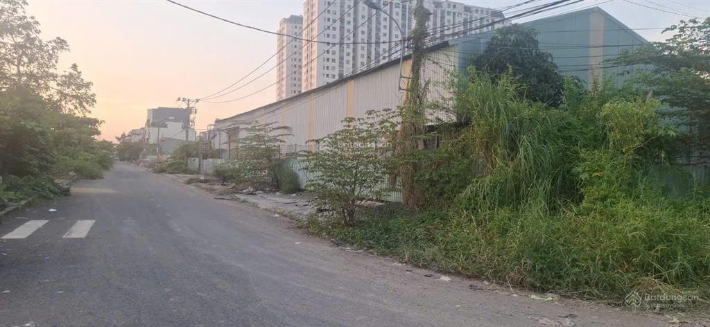 Cho thuê xưởng 2000m2 tại quận 8, giá 120tr/tháng