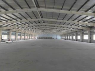 Cho thuê kho xưởng kcn thuận đạo, long an  diện tích 2.600m²
