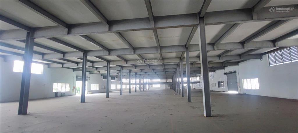 Cho thuê kho 41000m2 đường container tại phường an hội tây, gò vấp, tp.hcm