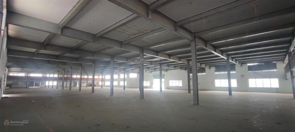 Cho thuê kho 41000m2 đường container tại phường an hội tây, gò vấp, tp.hcm