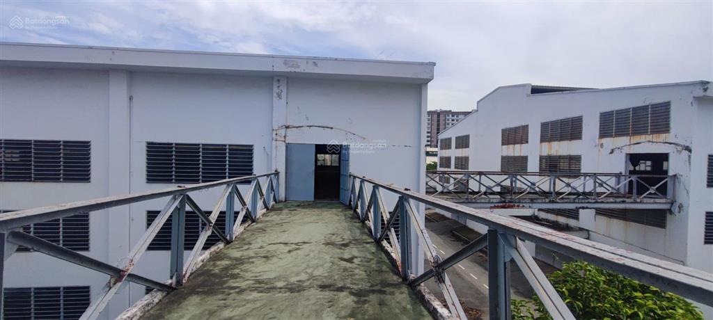 Cho thuê kho 41000m2 đường container tại phường an hội tây, gò vấp, tp.hcm