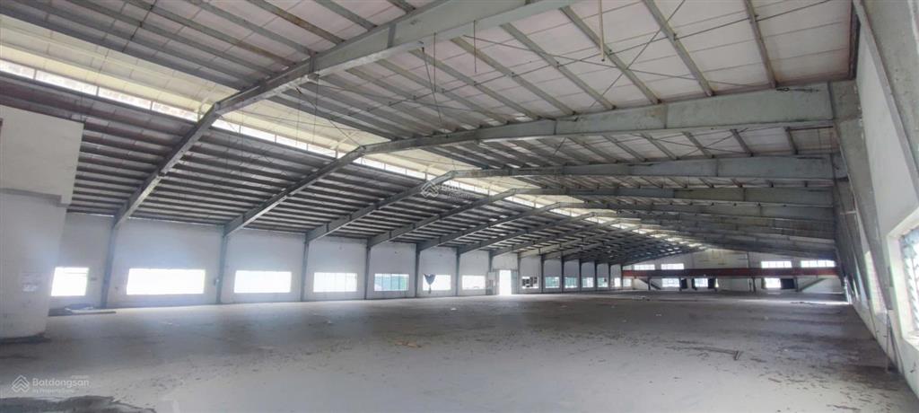 Cho thuê kho 41000m2 đường container tại phường an hội tây, gò vấp, tp.hcm