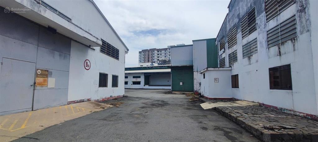 Cho thuê kho 41000m2 đường container tại phường an hội tây, gò vấp, tp.hcm