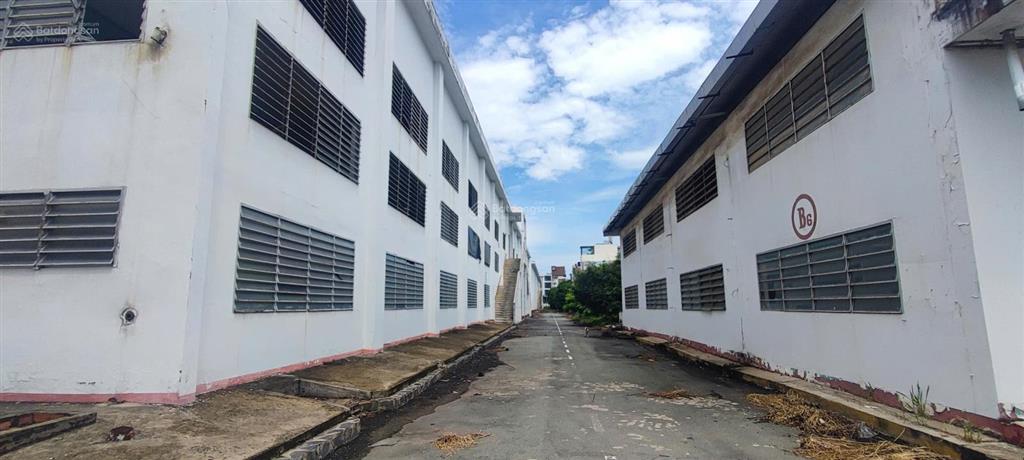 Cho thuê kho 41000m2 đường container tại phường an hội tây, gò vấp, tp.hcm