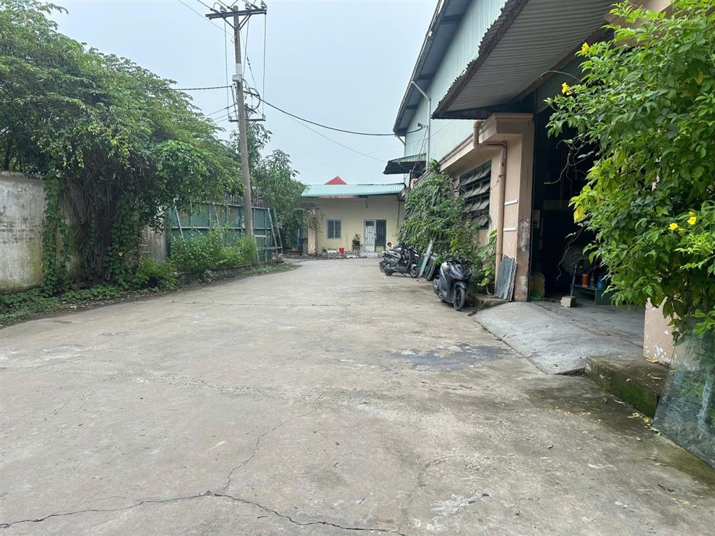Cho thuê kho xưởng bình chánh 1000m2, có pccc, giá 50tr/tháng