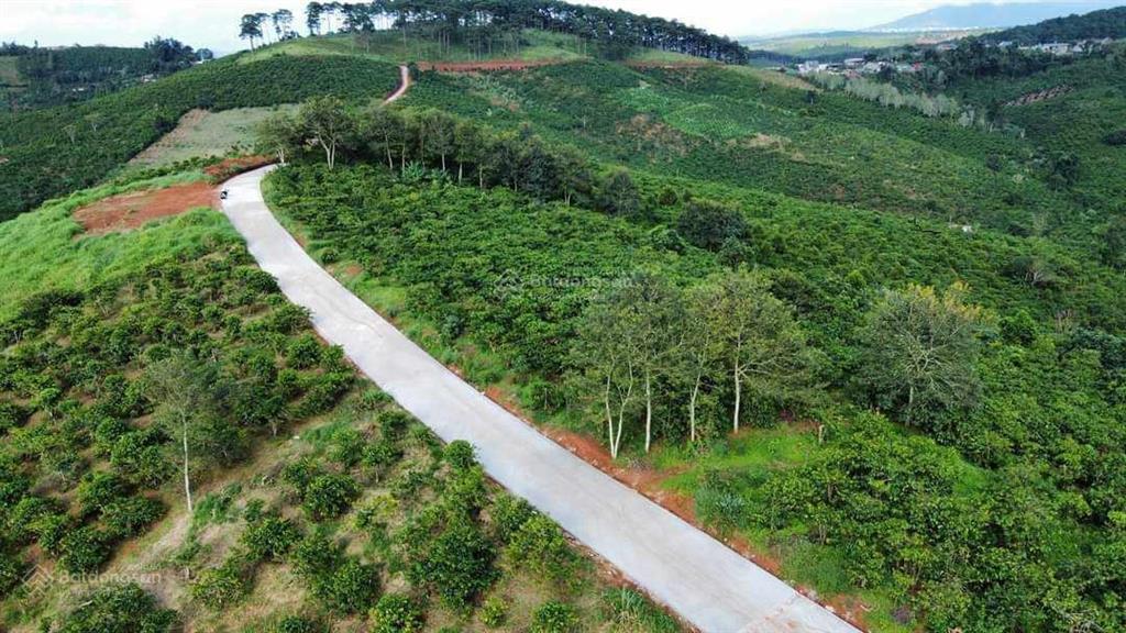 Chỉ 1,12 tr/m2 đất thổ cư siêu hời, đường bê tông, sát nút giao cao tốc, view đồi thông