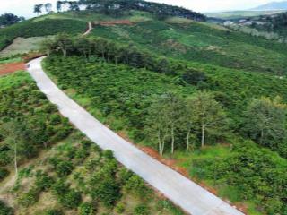 Chỉ 1,12 tr/m2 đất thổ cư siêu hời, đường bê tông, sát nút giao cao tốc, view đồi thông