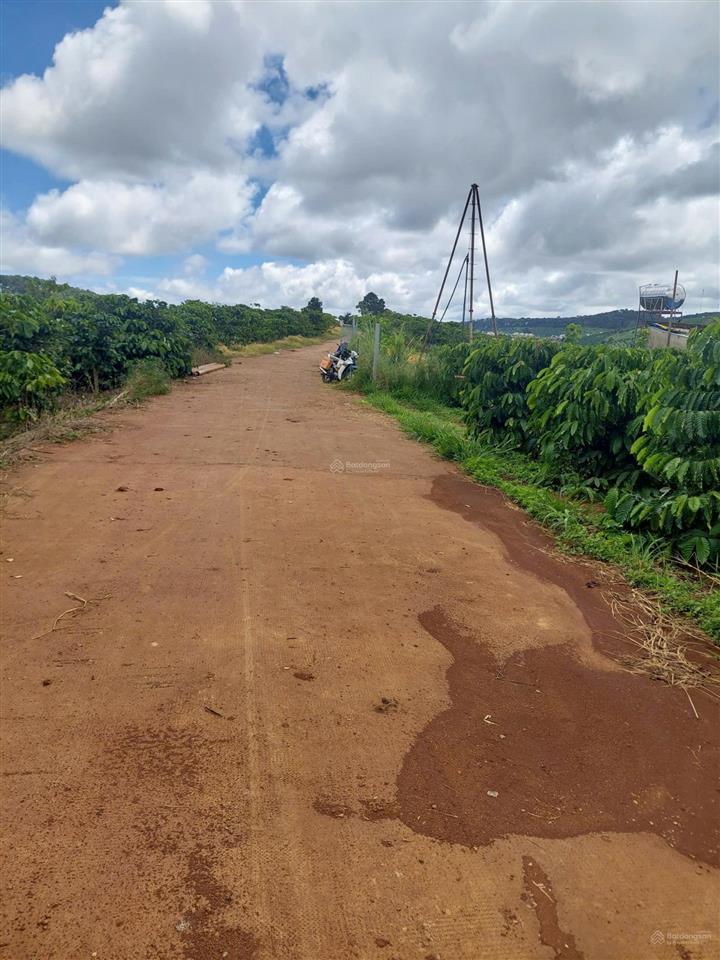 Chỉ 1,12 tr/m2 đất thổ cư siêu hời, đường bê tông, sát nút giao cao tốc, view đồi thông