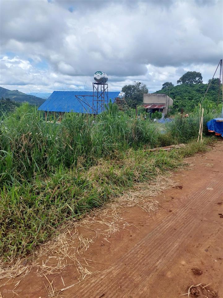 Lô đất thổ cư 331m2 giá rẻ nhất khu vực view đồi thông, đường bê tông, ngay nút xuống cao tốc