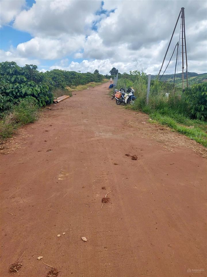 Lô đất thổ cư 331m2 giá rẻ nhất khu vực view đồi thông, đường bê tông, ngay nút xuống cao tốc