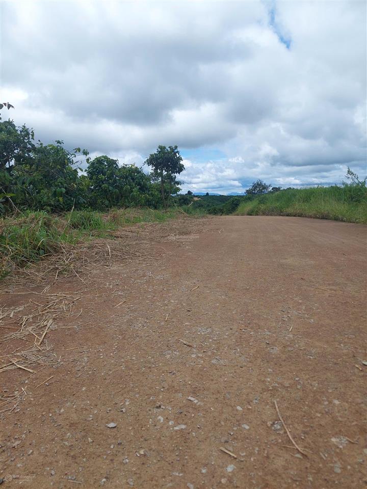 Lô đất thổ cư 331m2 giá rẻ nhất khu vực view đồi thông, đường bê tông, ngay nút xuống cao tốc