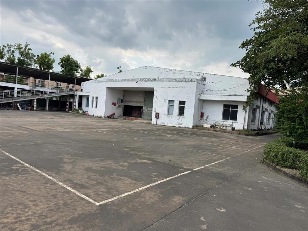 Bán xưởng dầu tiếng 53000 m2 đất. có 13000 skc có xưởng 3000 m2 văn phòng tường rào trạm điện