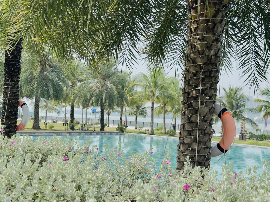 Nhà phố izumi city giá từ 7.1 tỷ, liền kề sông đồng nai, sổ hồng sẵn