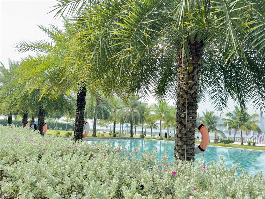 Nhà phố izumi city giá từ 7.1 tỷ, liền kề sông đồng nai, sổ hồng sẵn